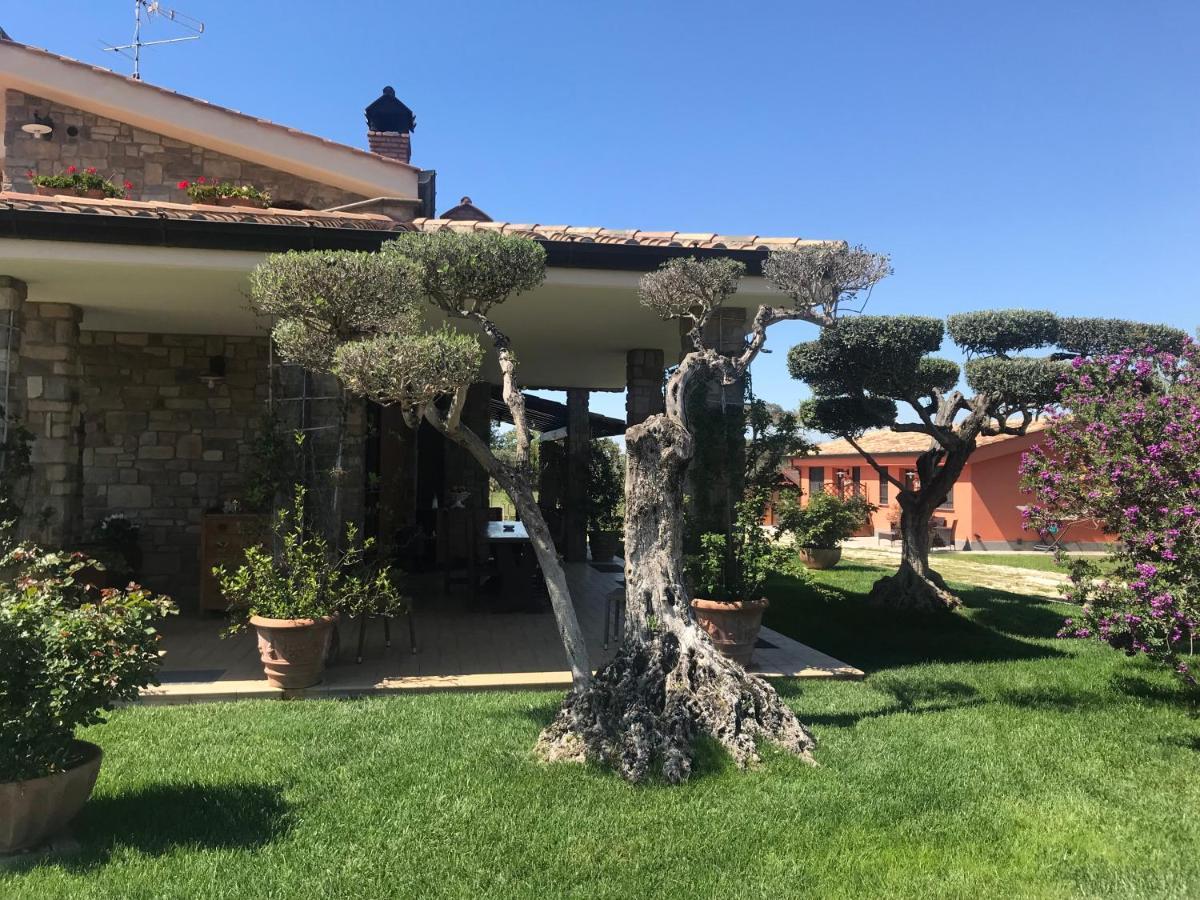 Bed and Breakfast Le Rose à Nettuno Extérieur photo